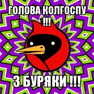 голова колгоспу !!! 3 буряки !!!, Мем Омская птица