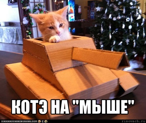  котэ на "мыше"