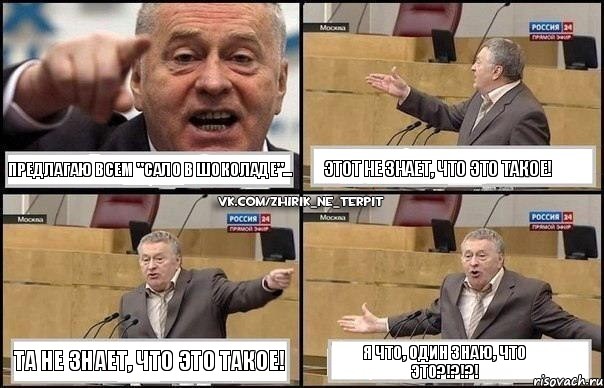 Предлагаю всем "сало в шоколаде"... Этот не знает, что это такое! Та не знает, что это такое! Я что, один знаю, ЧТО ЭТО?!?!?!, Комикс Жириновский