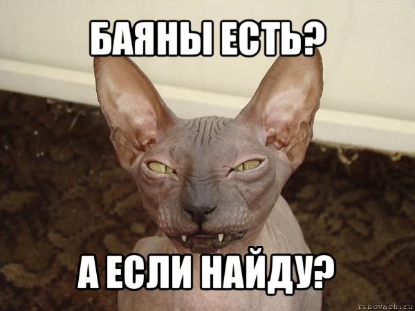 баяны есть? а если найду?, Мем  Злой котик