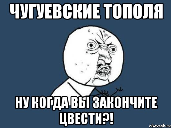 чугуевские тополя ну когда вы закончите цвести?!, Мем Ну почему