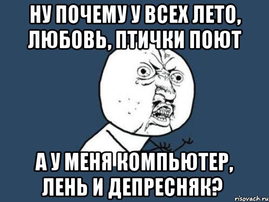 ну почему у всех лето, любовь, птички поют а у меня компьютер, лень и депресняк?, Мем Ну почему