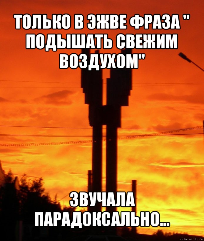 только в эжве фраза " подышать свежим воздухом" звучала парадоксально..., Мем сык