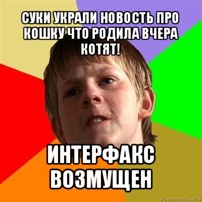 суки украли новость про кошку что родила вчера котят! интерфакс возмущен, Мем Злой школьник