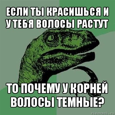 если ты красишься и у тебя волосы растут то почему у корней волосы темные?, Мем Филосораптор