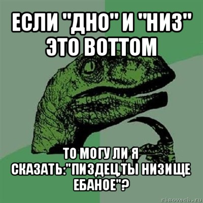 если "дно" и "низ" это bottom то могу ли я сказать:"пиздец,ты низище ебаное"?, Мем Филосораптор