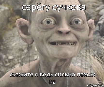 скажите я ведь сильно похож на серёгу сучкова