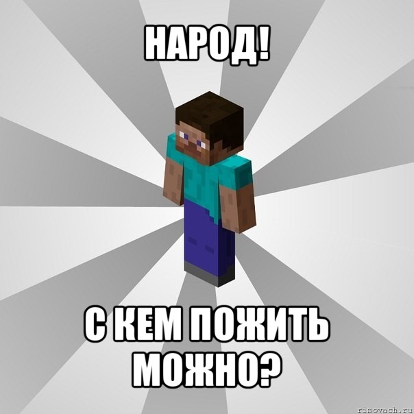 народ! с кем пожить можно?, Мем Типичный игрок Minecraft