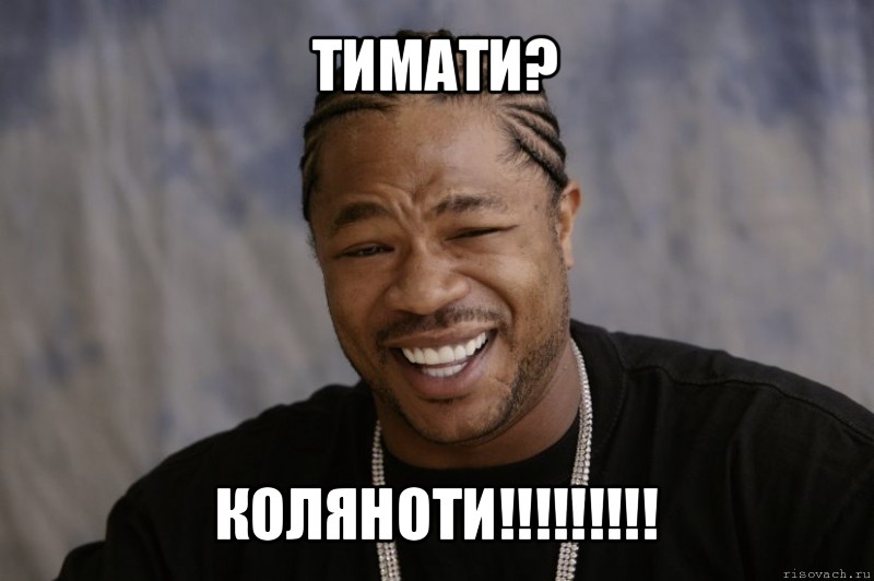 тимати? коляноти!!!, Мем Xzibit