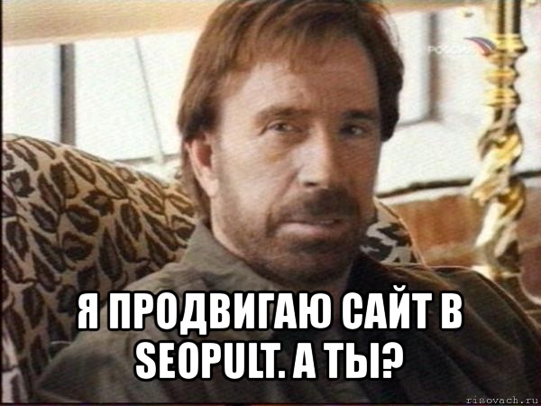  я продвигаю сайт в seopult. а ты?, Мем чак норрис