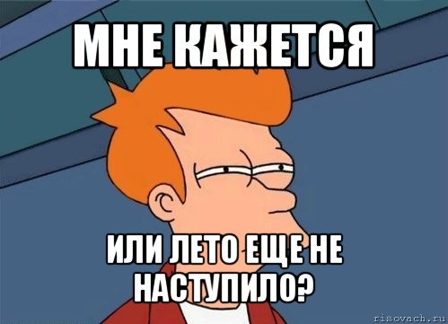 мне кажется или лето еще не наступило?, Мем  Фрай (мне кажется или)