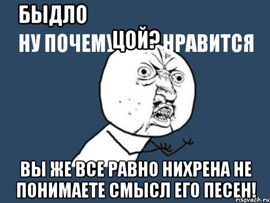 быдло
ну почему вам нравится цой? вы же все равно нихрена не понимаете смысл его песен!, Мем Ну почему