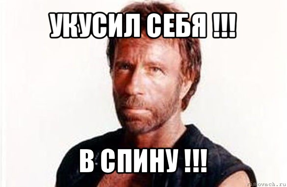 укусил себя !!! в спину !!!