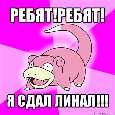 ребят!ребят! я сдал линал!!!, Мем слоупок