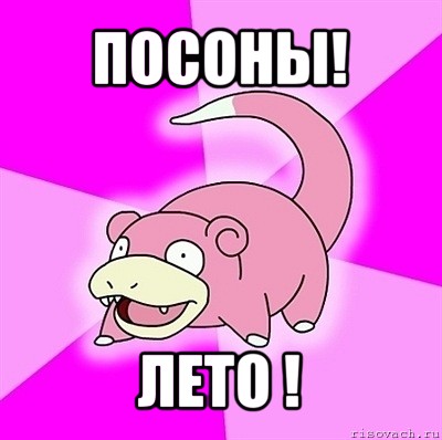 посоны! лето !