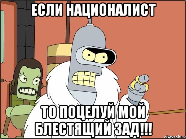 если националист то поцелуй мой блестящий зад!!!, Мем Бендер