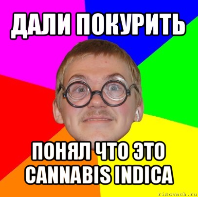 дали покурить понял что это cannabis indica, Мем Типичный ботан