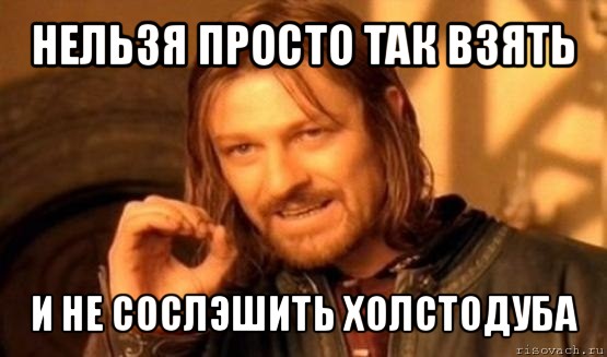 нельзя просто так взять и не сослэшить холстодуба, Мем Нельзя просто так взять и (Боромир мем)