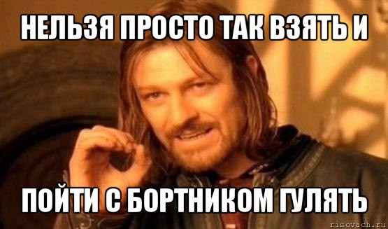 нельзя просто так взять и пойти с бортником гулять, Мем Нельзя просто так взять и (Боромир мем)