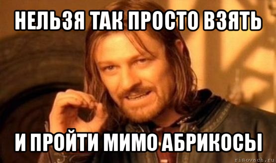 нельзя так просто взять и пройти мимо абрикосы, Мем Нельзя просто так взять и (Боромир мем)