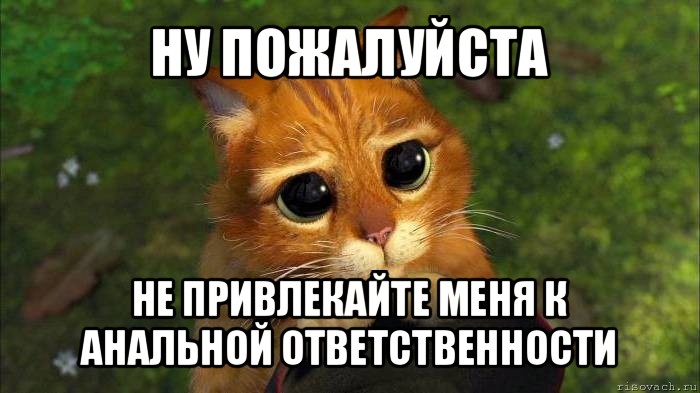 Ну наберите. Ну пожалуйста пожалуйста пожалуйста. Мем прости меня пожалуйста. Ну пожалуйста Мем. Пожалуйста Мем кот.