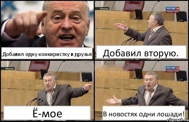 Добавил одну конкиристку в друзья Добавил вторую. Ё-мое В новостях одни лошади!, Комикс Жириновский