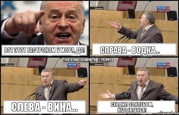 Вот этот гастроном у моря, да! Справа - водка... Слева - вина... Сходил за хлебом, называется!, Комикс Жириновский