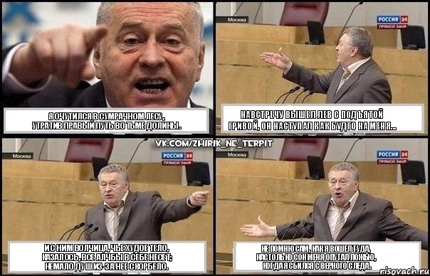 Я очутился в сумрачном лесу,
Утратив правый путь во тьме долины. Навстречу вышел лев с подъятой гривой, он наступал как будто на меня... И с ним волчица, чье худое тело,
Казалось, все алчбы в себе несет;
Немало душ из-за нее скорбело. Не помню сам, как я вошел туда,
Настолько сон меня опутал ложью,
Когда я сбился с верного следа., Комикс Жириновский