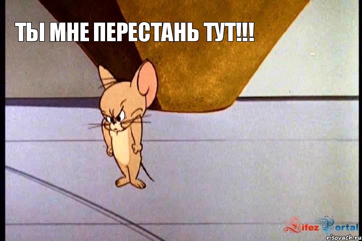 Ты мне перестань тут!!!, Мем  Недовольный Джерри