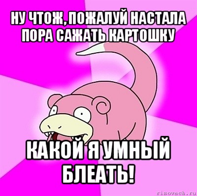 ну чтож, пожалуй настала пора сажать картошку какой я умный блеать!, Мем слоупок