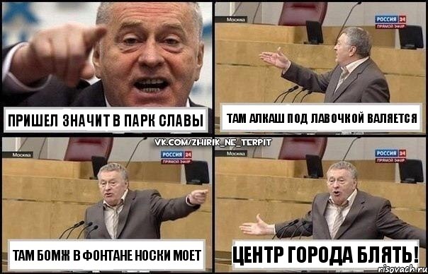 пришел значит в парк славы там бомж в фонтане носки моет там алкаш под лавочкой валяется центр города блять!, Комикс Жириновский