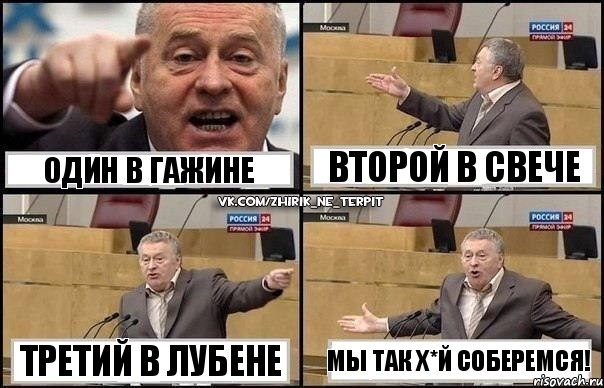 Один в Гажине Третий в Лубене Второй в Свече Мы так х*й соберемся!, Комикс Жириновский