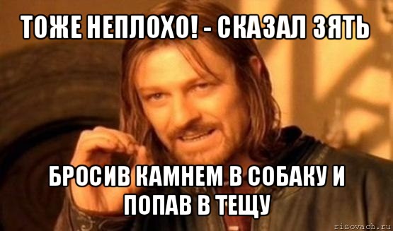 тоже неплохо! - сказал зять бросив камнем в собаку и попав в тещу, Мем Нельзя просто так взять и (Боромир мем)