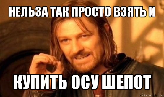 нельза так просто взять и купить осу шепот, Мем Нельзя просто так взять и (Боромир мем)