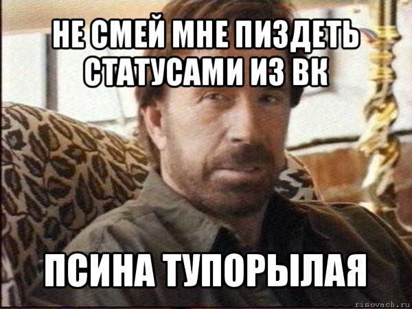 не смей мне пиздеть статусами из вк псина тупорылая, Мем чак норрис