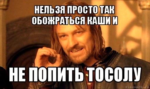 нельзя просто так обожраться каши и не попить тосолу, Мем Нельзя просто так взять и (Боромир мем)