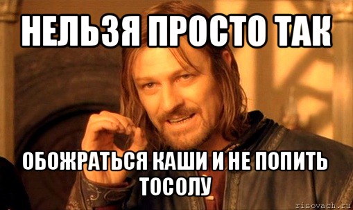 нельзя просто так обожраться каши и не попить тосолу, Мем Нельзя просто так взять и (Боромир мем)