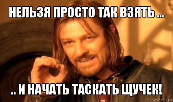 нельзя просто так взять ... .. и начать таскать щучек!, Мем Нельзя просто так взять и (Боромир мем)