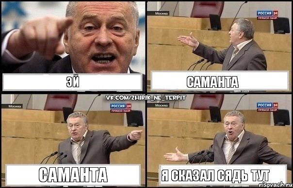 эй саманта саманта я сказал сядь тут, Комикс Жириновский