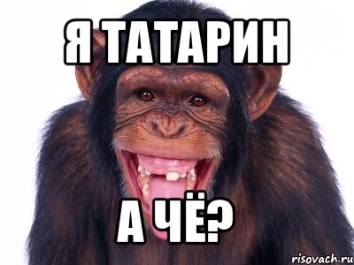 я татарин а чё?, Мем мавпа