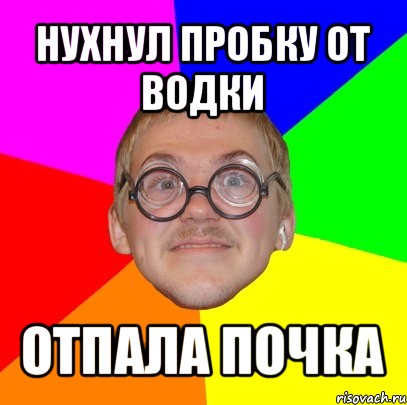 нухнул пробку от водки отпала почка, Мем Типичный ботан