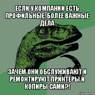 если у компании есть профильные, более важные дела зачем они обслуживают и ремонтируют принтеры и копиры сами?!, Мем Филосораптор