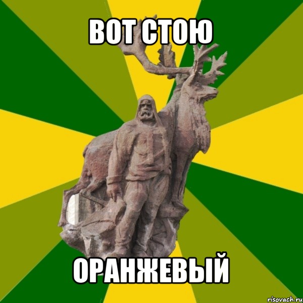 вот стою оранжевый