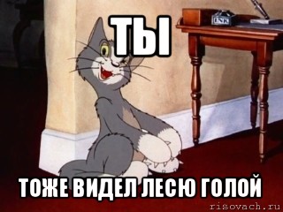 Пошла д. Кот том пошли. Кот том можно я пойду. Ты тоже это видишь. Кот том да пошли вы.