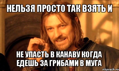 нельзя просто так взять и не упасть в канаву когда едешь за грибами в муга, Мем Нельзя просто так взять и (Боромир мем)