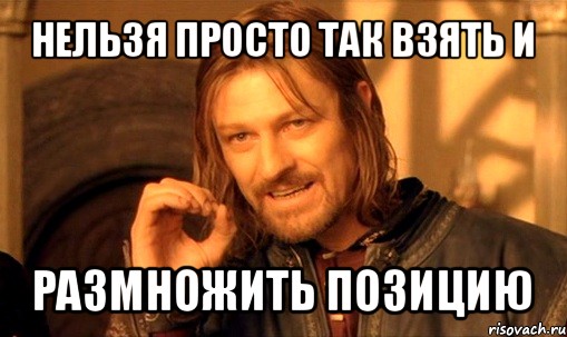 нельзя просто так взять и размножить позицию, Мем Нельзя просто так взять и (Боромир мем)