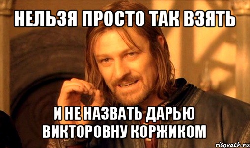 нельзя просто так взять и не назвать дарью викторовну коржиком, Мем Нельзя просто так взять и (Боромир мем)