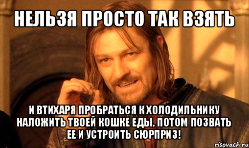 нельзя просто так взять и втихаря пробраться к холодильнику наложить твоей кошке еды, потом позвать ее и устроить сюрприз!, Мем Нельзя просто так взять и (Боромир мем)