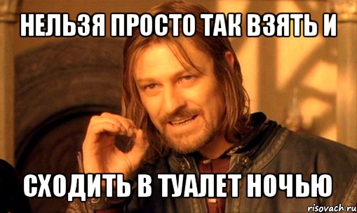 нельзя просто так взять и сходить в туалет ночью, Мем Нельзя просто так взять и (Боромир мем)