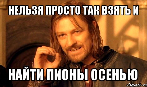 нельзя просто так взять и найти пионы осенью, Мем Нельзя просто так взять и (Боромир мем)